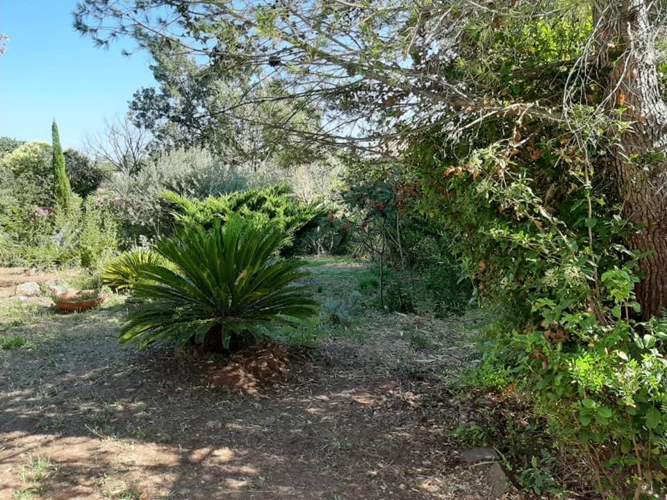 Mas Provencal Au Cannet Des Maures Le Cannet-des-Maures Exterior foto