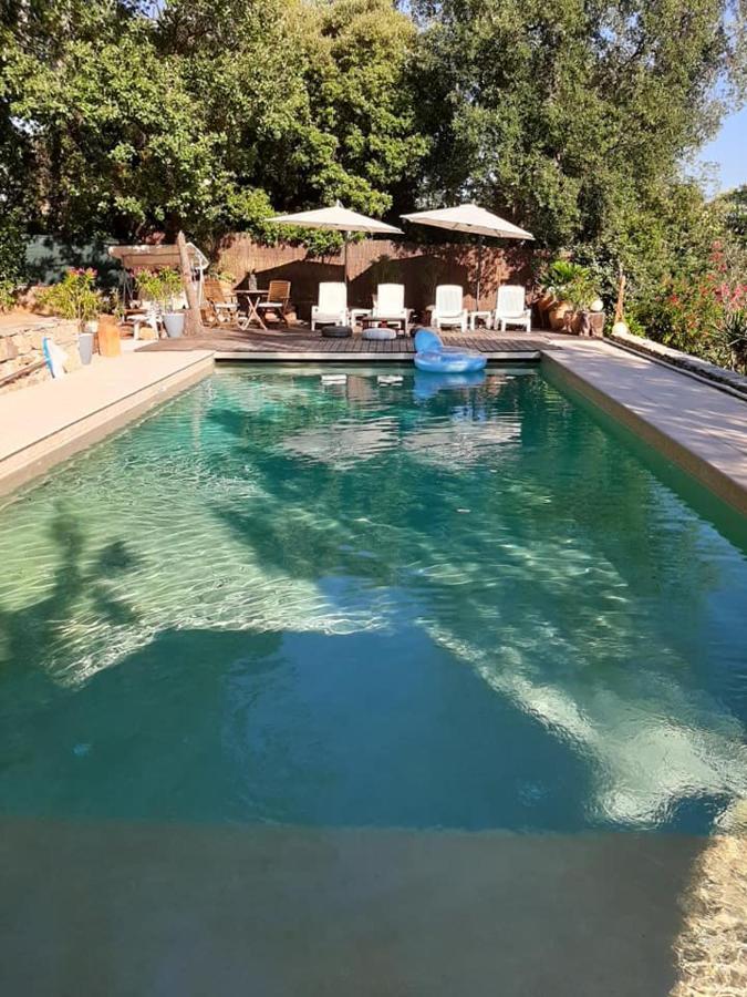 Mas Provencal Au Cannet Des Maures Le Cannet-des-Maures Exterior foto